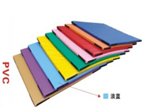 PVC coating foam soft play mat